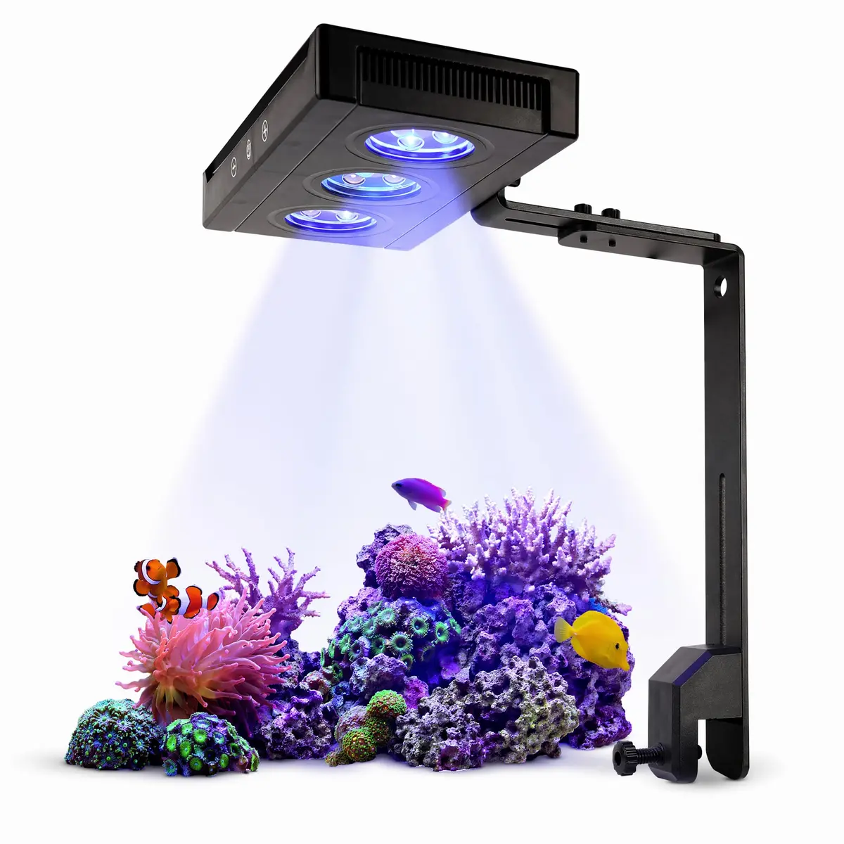 Luminária Aquário Marinho 30W para Corais SPS/LPS,Ampla Cobertura,Intensidade Regulável,Canais Duplos Azul/Violeta e Branco,Luminaria de LED para Aquário Marinho para Corais e Peixes Marinho