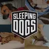 Jogo Sleeping Dogs™ Definitive Edition - Xbox - 1