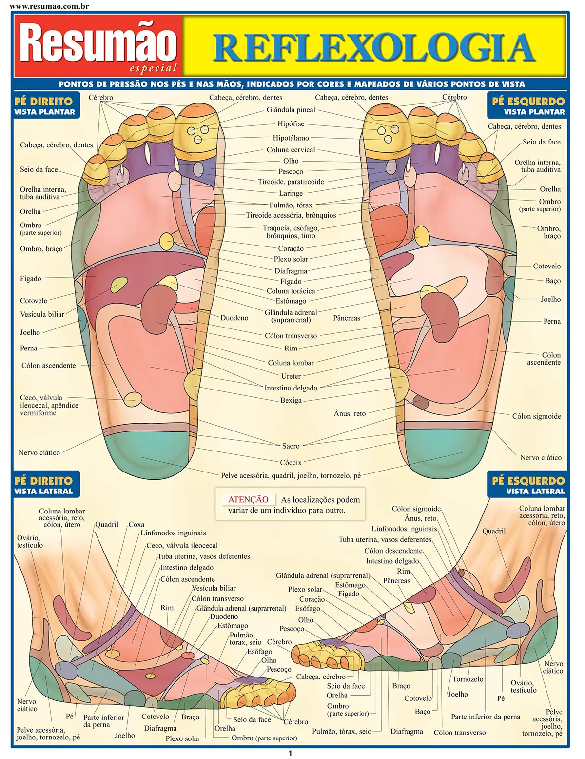 Reflexologia - 1