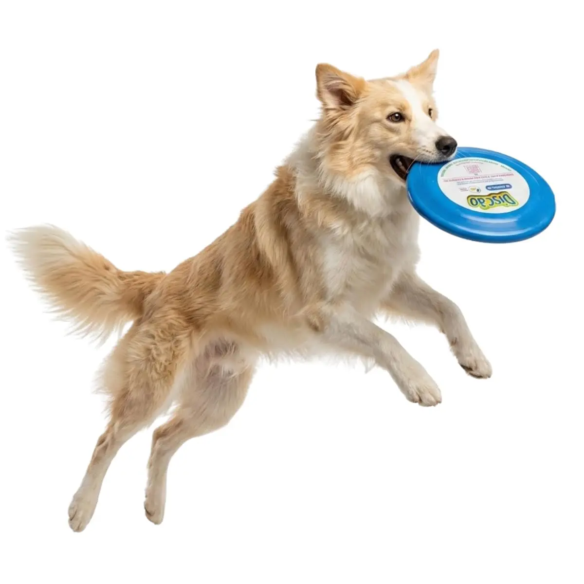 Pet Games Discão Azul - Brinquedo Interativo Frisbee Para Cães - 1