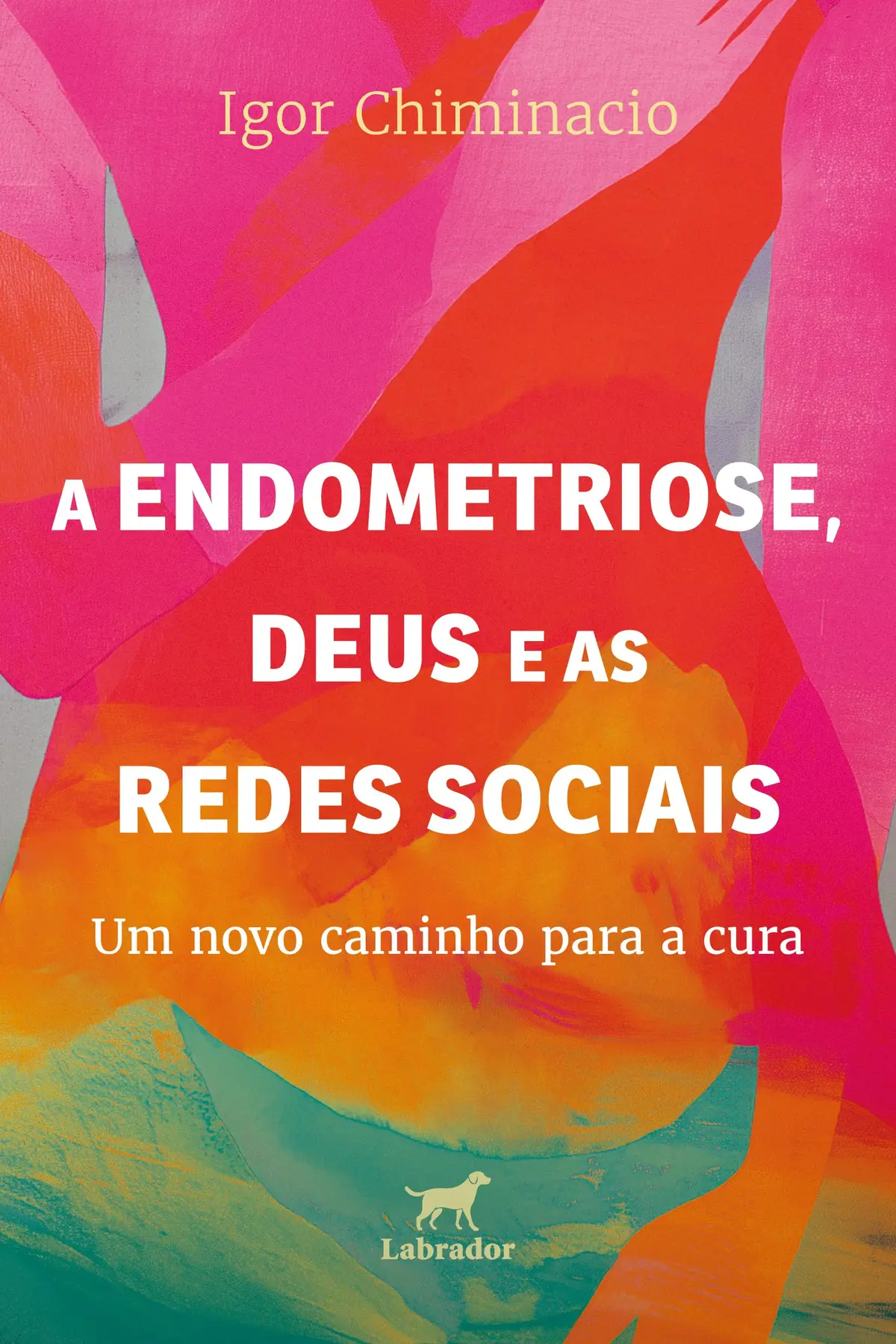 A endometriose, Deus e as redes sociais: um novo caminho para a cura - 1