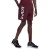 【Tam.: P M G e GG】Bermuda ASICS Masculina Logo Estourado - 1