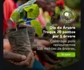 Dia da Árvore - Troque 20 pontos por 1 árvore