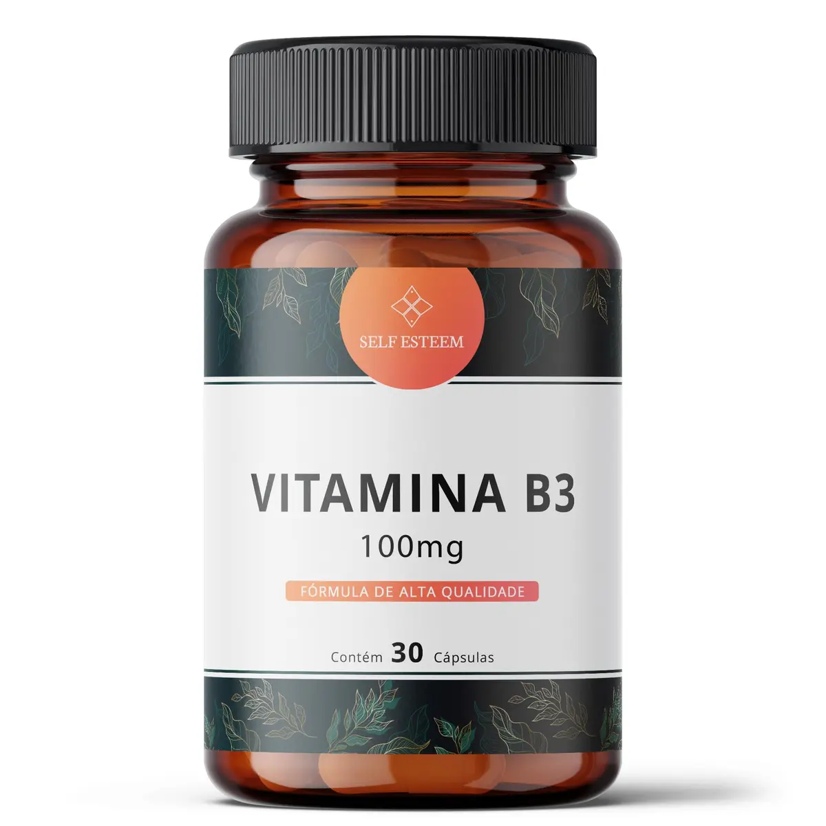 Vitamina B3 (Nicotinamida) 100mg 30 Cápsulas
