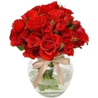 Brisa de Rosas Red - 1