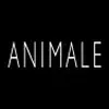 Garanta 30% de desconto na Animale - 1