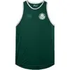 REGATA PALMEIRAS 1914 II MASCULINA, VERDE, G - 1