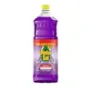 [+por-/REC R$ 10,14] Pinho Sol Desinfetante Lavanda 1750Mm - 1