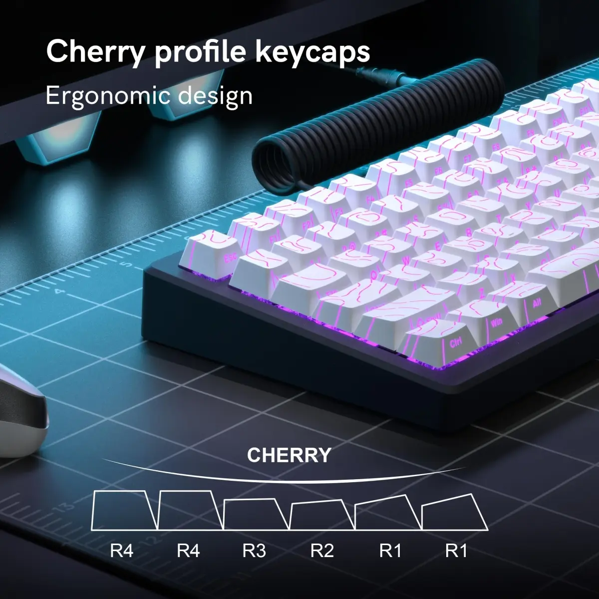 Conjunto de Teclas Iluminadas Contour Shine Through, Perfil Cherry, Teclas Personalizadas Retroiluminadas em Preto e Branco, PBT Resistente a Óleo para Teclado Mecânico