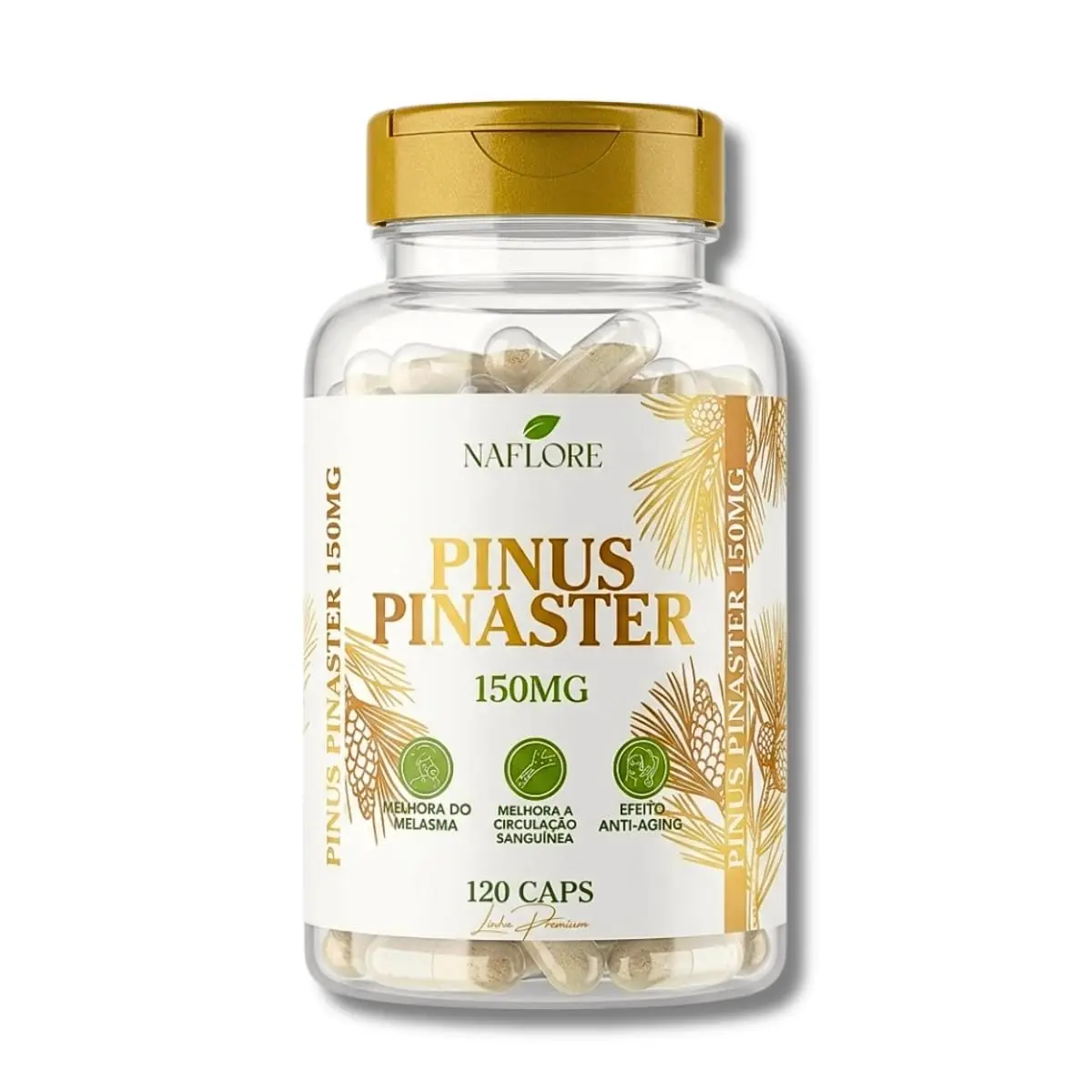 Pinus Pinaster (Picnogenol) 150mg 120 Cápsulas Linha Premium (4 Meses de Duração)