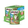 [REC] Ração Úmida para Gatos Peixe ao Molho 70g - 48 Unidades  - 1