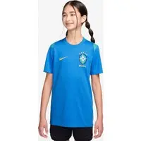 Camiseta Brasil Dri-FIT Nike Academy Pro Infantil