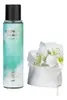 Body Splash Tropical Island Feminino 250ml - 1