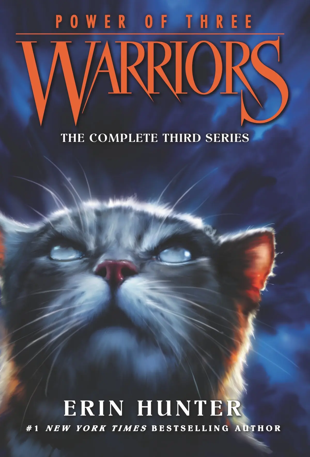 Warriors: Power of Three Box Set: Volumes 1 to 6: The Sight, Dark River, Outcast, Eclipse, Long Shadows, Sunrise: The Complete Third Wild Cat Clan Series for Kids (Ages 8-12) - 1