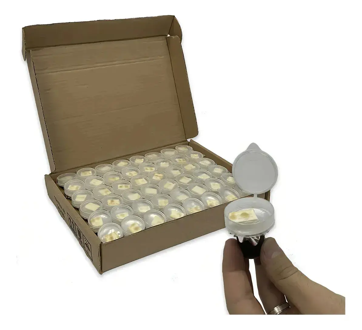 Kit Cálice Santa Ceia Premium Uva Suco Pão Evangélica 48 Un