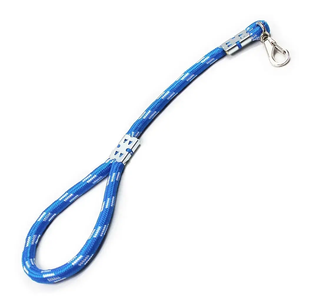 Guia Para Cachorros Grande Guia Para Caes 60x1,6cm Cor Azul
