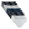 Kit 10 Cuecas Slip Algodão Infantil Masculina - 1