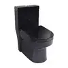 Vaso Sanitário Monobloco Caixa Acoplada Preto Privada Tubrax - 1