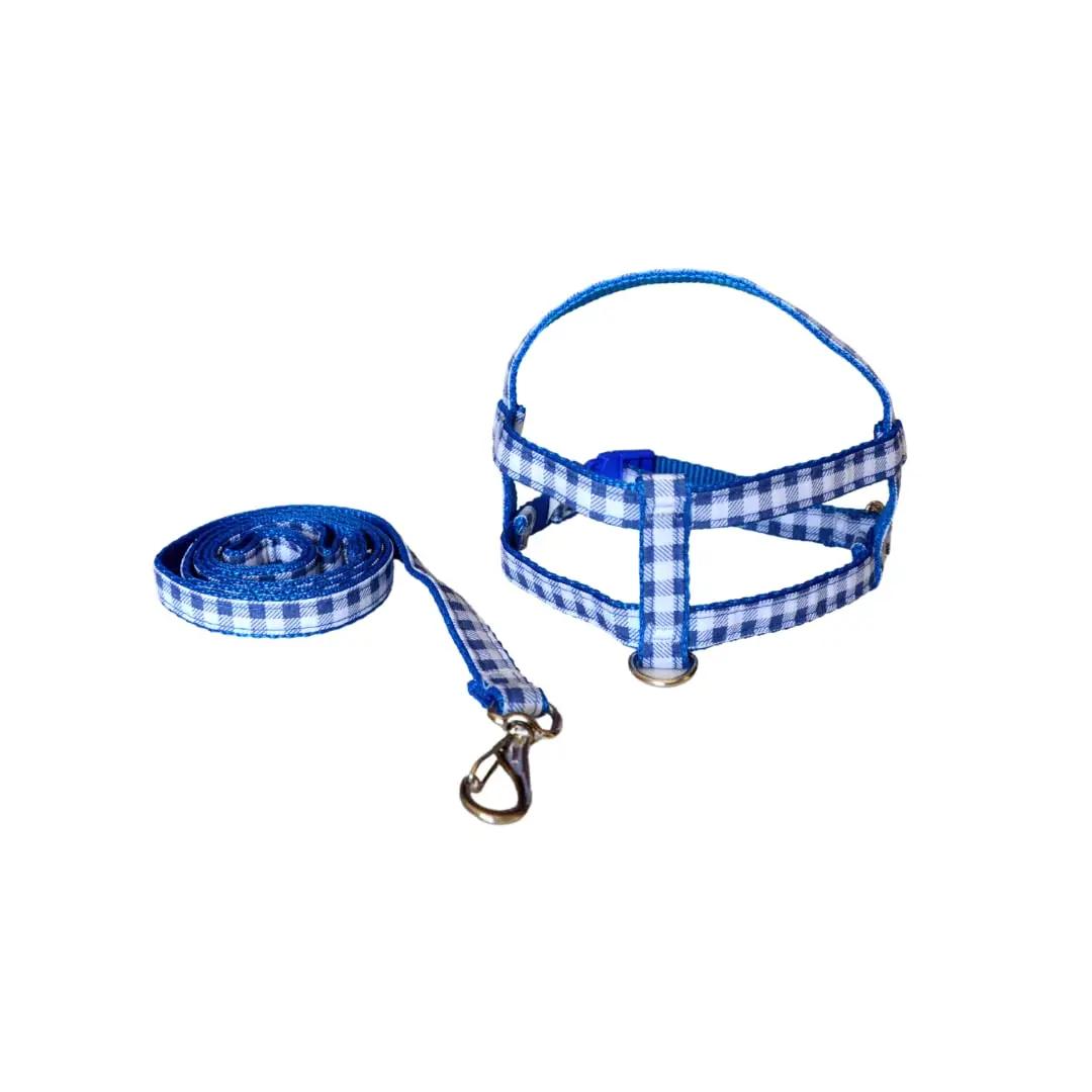 Coleira Ajustável para Cachorros My Pet Brasil, Tamanho Nº 4, Azul | Passeio e Viagem, Xadrez, Confortável e Resistente
