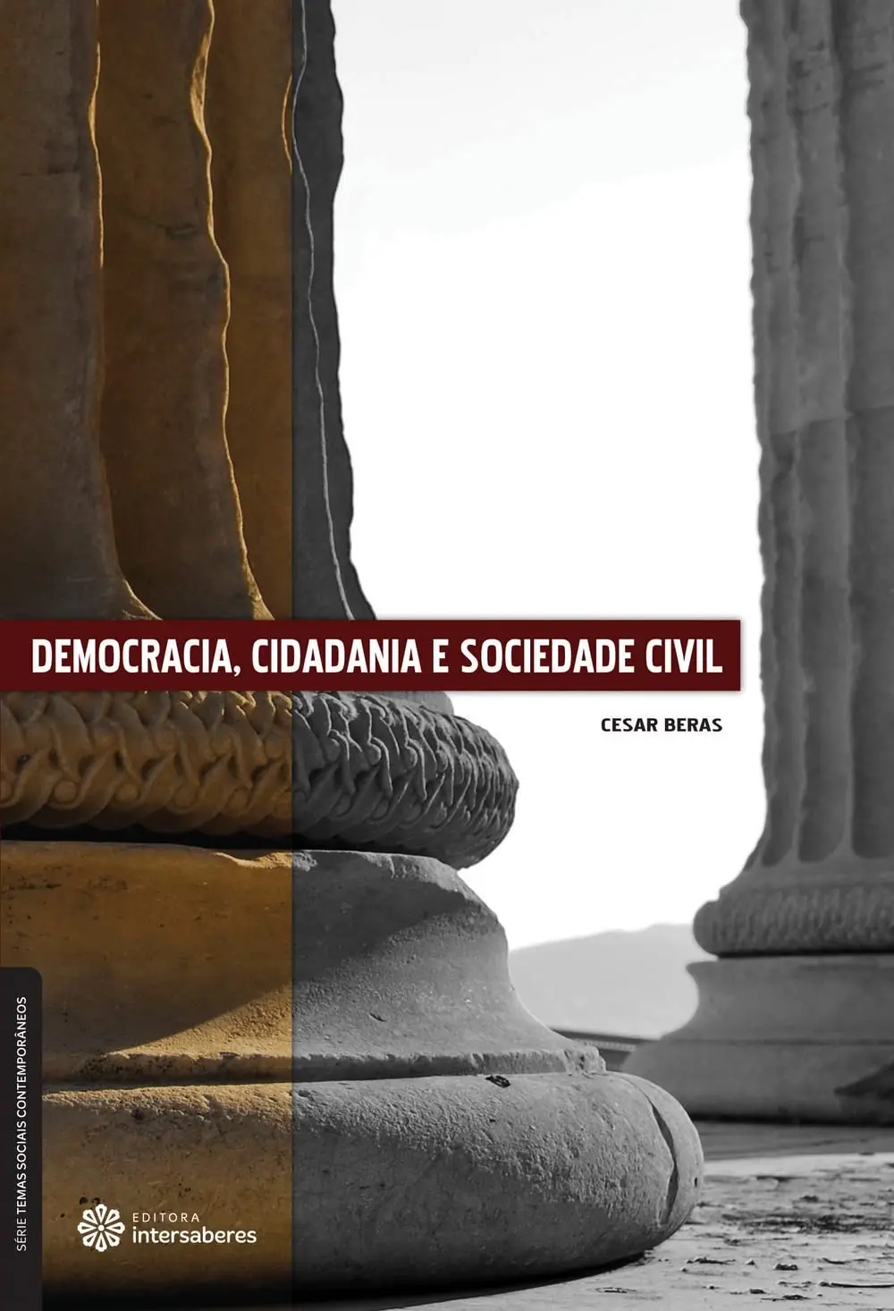 Democracia, cidadania e sociedade civil