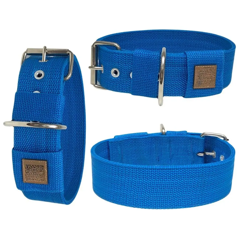 Coleira Cachorro Grande Porte Nylon Reforçada 5cm Ajustável(Azul Royal,GG = 50cm até 59cm) - 1