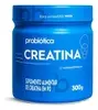Suplemento Creatina em Pó 300g Pura - Probiótica - 1