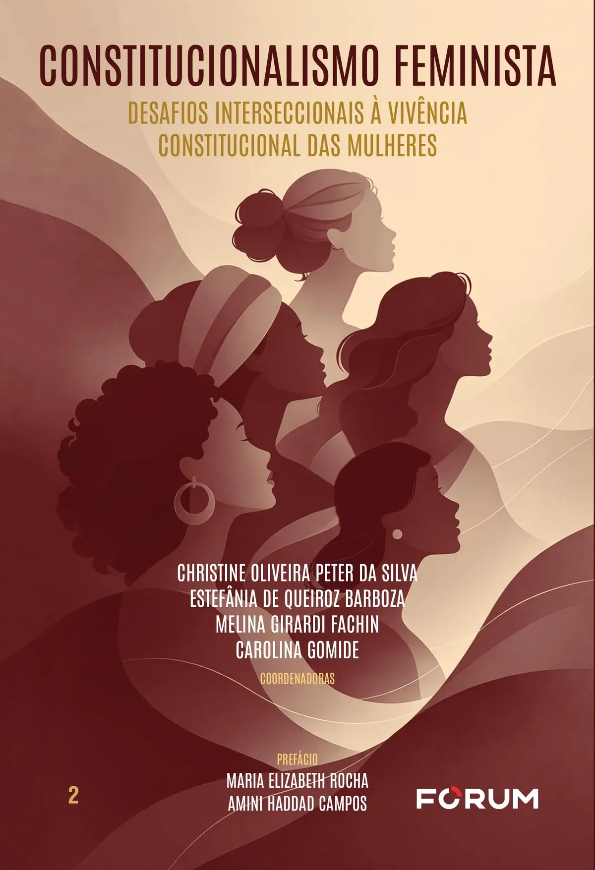 Constitucionalismo feminista: desafios interseccionais à vivência constitucional das mulheres (Volume 2) - 1