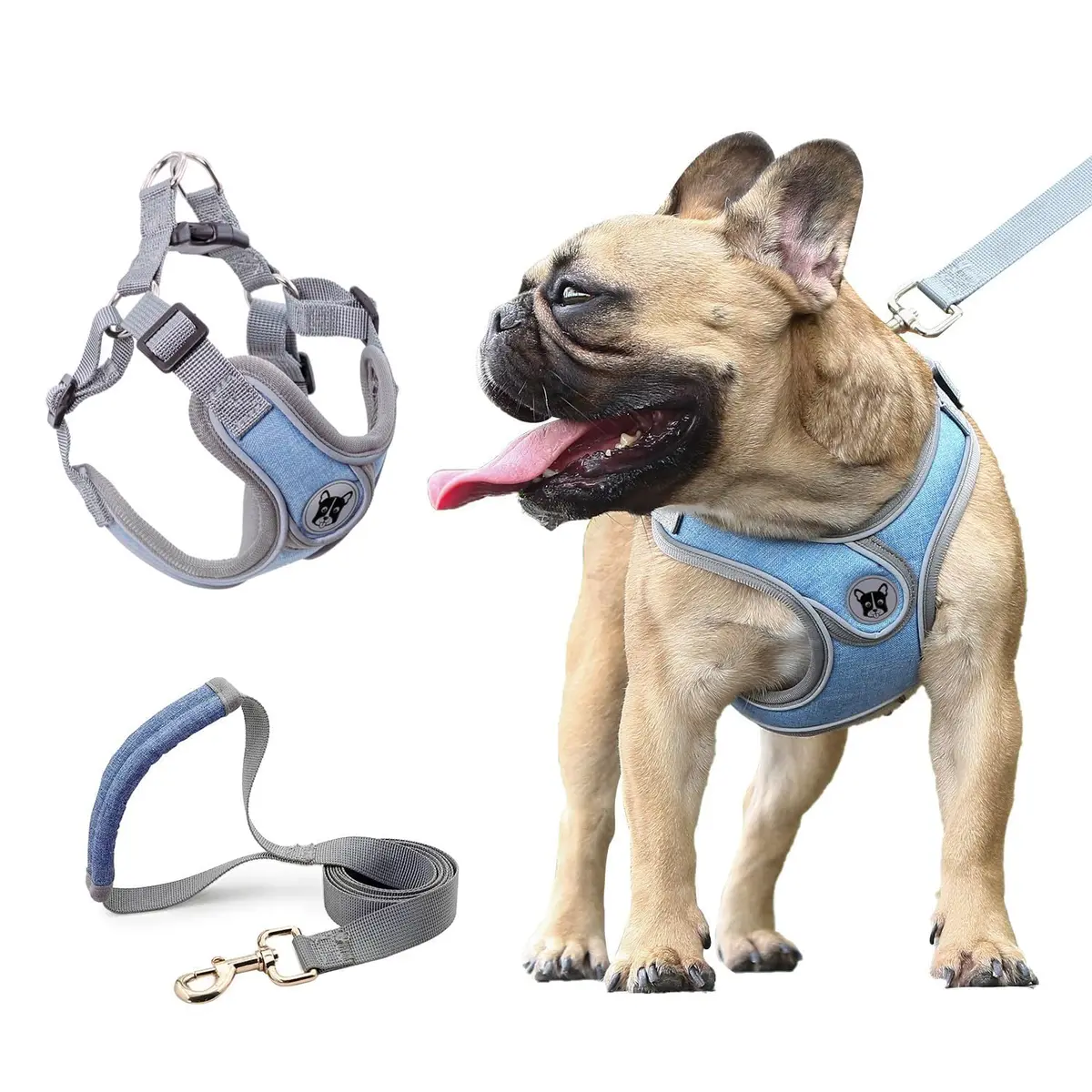 Coleira Peitoral para Cachorros Ajustável com Guia de Passeio-PP | Contorno reflexivo com Guia de Passeio,Sistema Antipuxão Eficiente, para Treinamento e Corrida