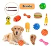 Kit 5 Mordedores para Cachorro + Brinde - 1