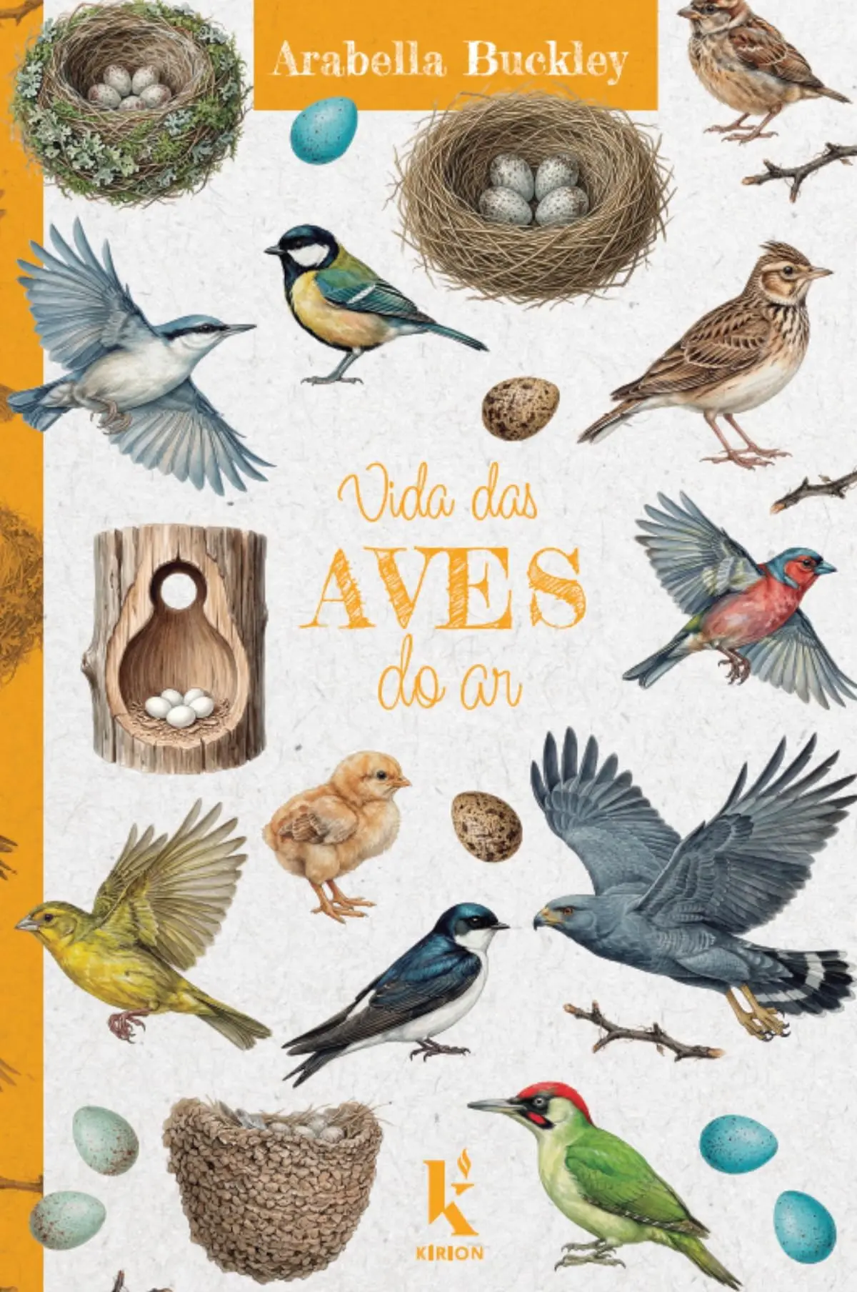 Vida das aves do ar