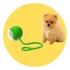 Bola Elétrica Inteligente para Gatos e Cães - 1
