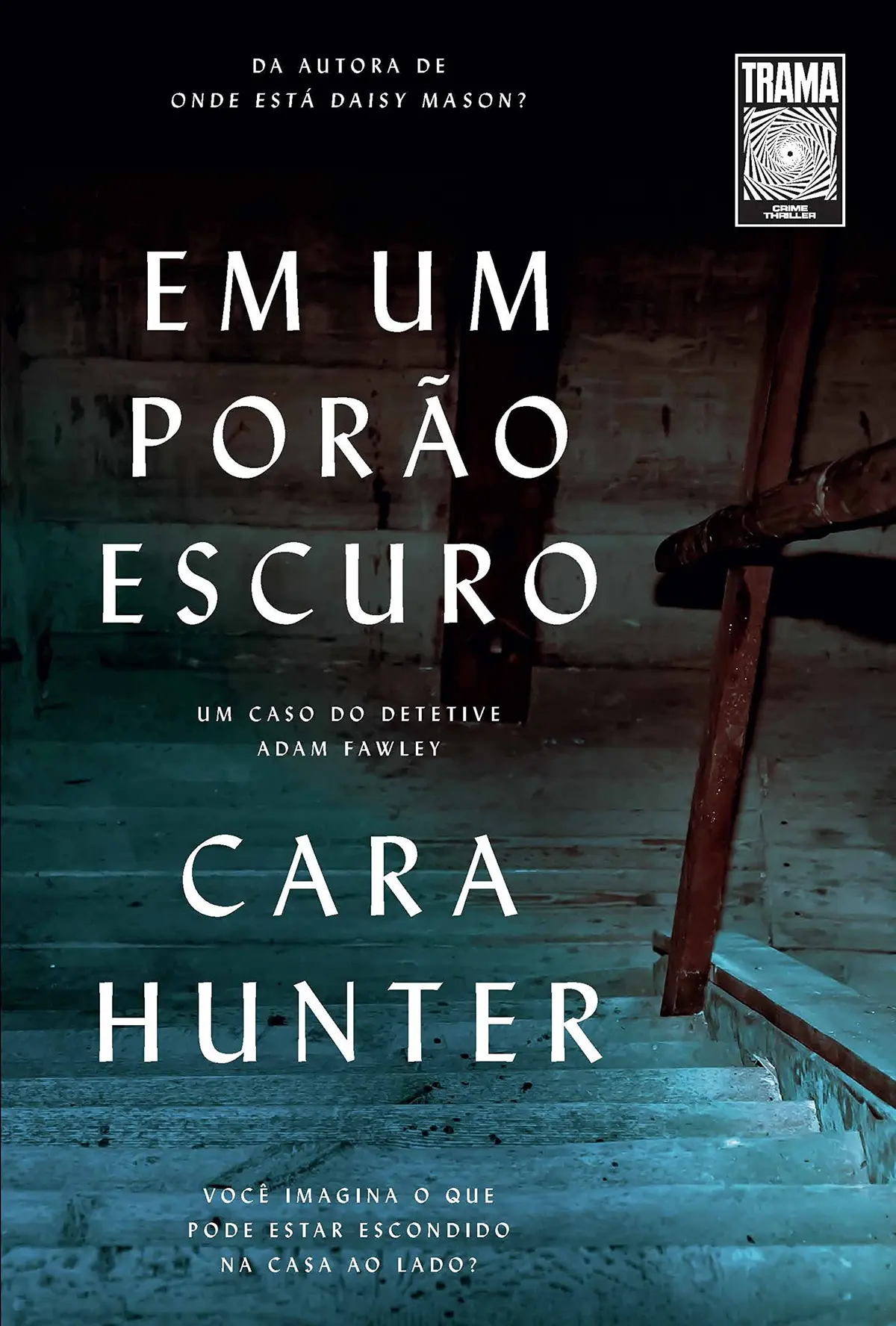 Em um porão escuro: Você imagina o que pode estar escondido na casa ao lado? (Um caso do detetive Adam Fawley #2)