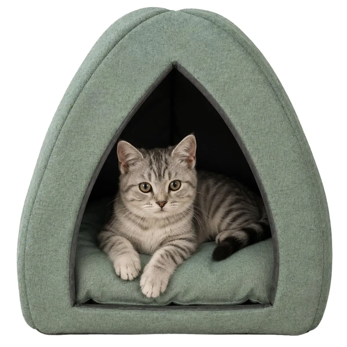 Cama Pet Toca Iglu Oca Gatos Cachorros Pequeno Sustentável (Verde) | Sustentável, Material Ecológico, Caminha Pet, Para Pets Pequenos, Eco Blend