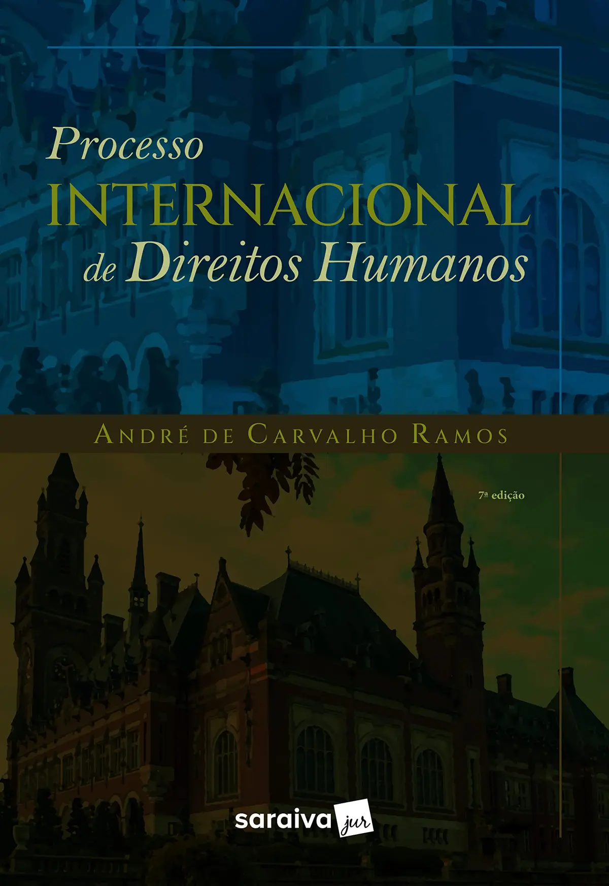 Processo Internacional de Direitos Humanos - 7ª Edição 2022 - 1
