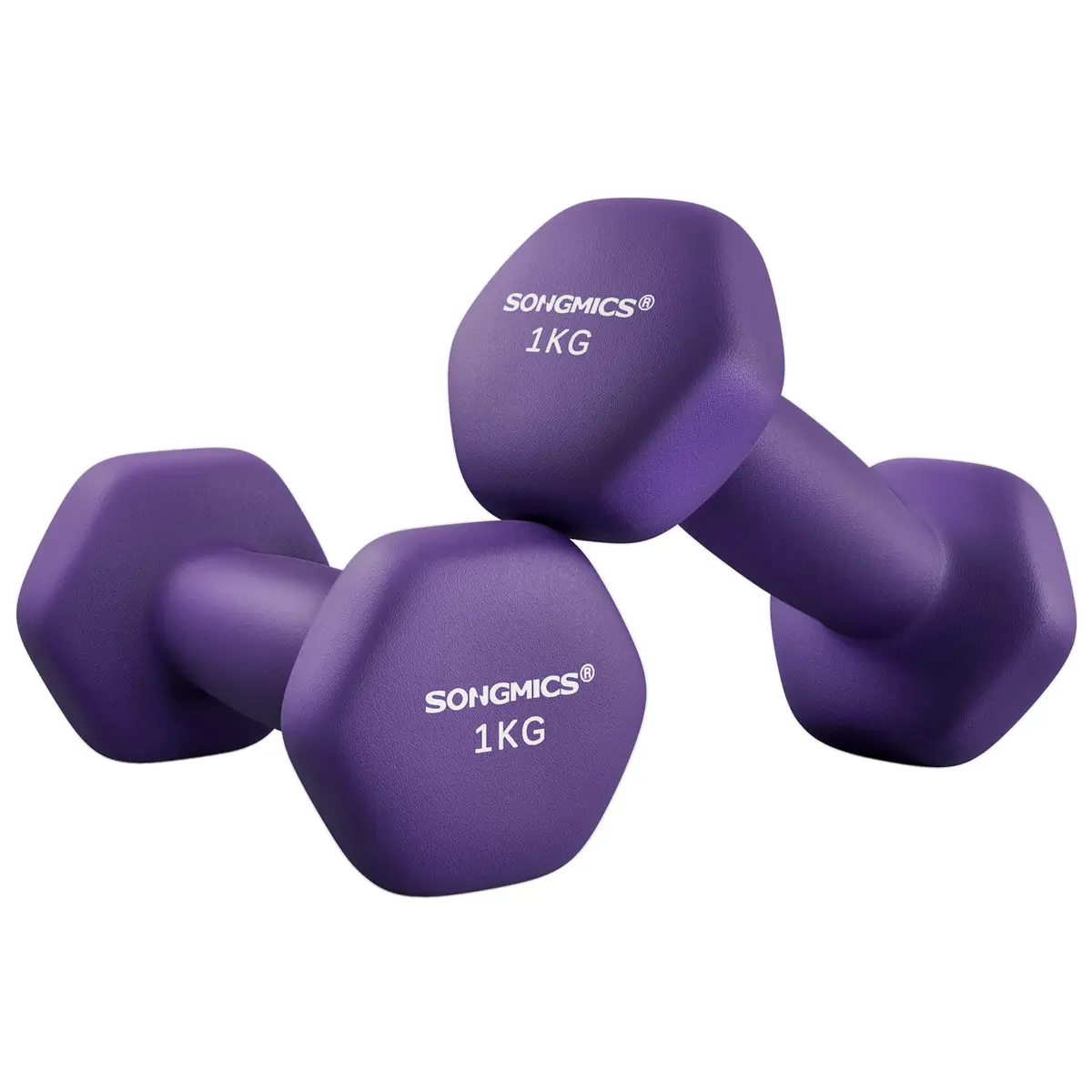 SONGMICS Conjunto de 2 Halteres Hexagonais, 2 x 1 kg | Pesos de Mão, com Revestimento de Neoprene, Exercício de Treino em Casa, Roxo, Coleção STEFAN SYL902P02