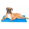 Tapete Pet Gelado Refrescante Colchonete Cães Gato 40x50cm cor Colorido - 1