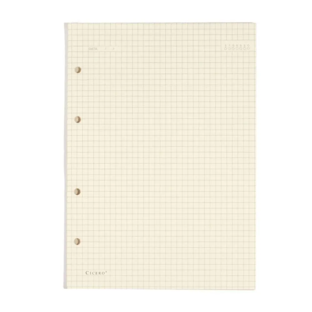 Refil Criativo Argolado, Bege, Quadriculado, 40 fls, Papel Pólen 80g/m², Tamanho Grande (17x24)