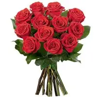 Ramalhete de 12 Rosas Colombianas Vermelhas