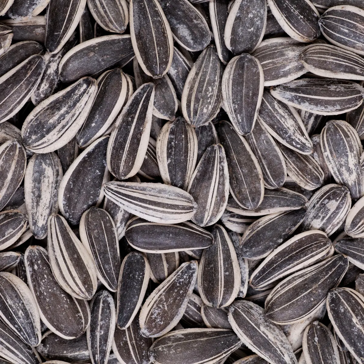 Natural Nuts Semente de Girassol Crocante 500g
