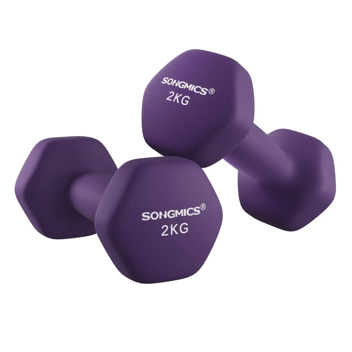 SONGMICS Conjunto de 2 Halteres Hexagonais, 2 x 2 kg | Pesos de Mão, com Revestimento de Neoprene, Exercício de Treino em Casa, Cinza Roxo, Coleção STEFAN BRSYL64PL