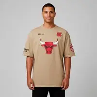 Camiseta do Chicago Bulls NBA Masculina Pennant N0539