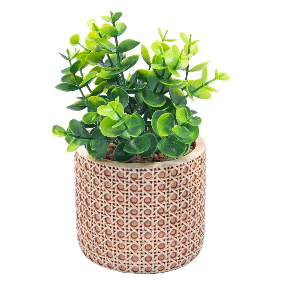 WOLFF - Cachepot de Cerâmica com Suculenta Treliça 10cm x 10cm x 18cm