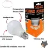 Foxlux Lâmpada LED Bulbo 9W 6500K Bivolt - 1