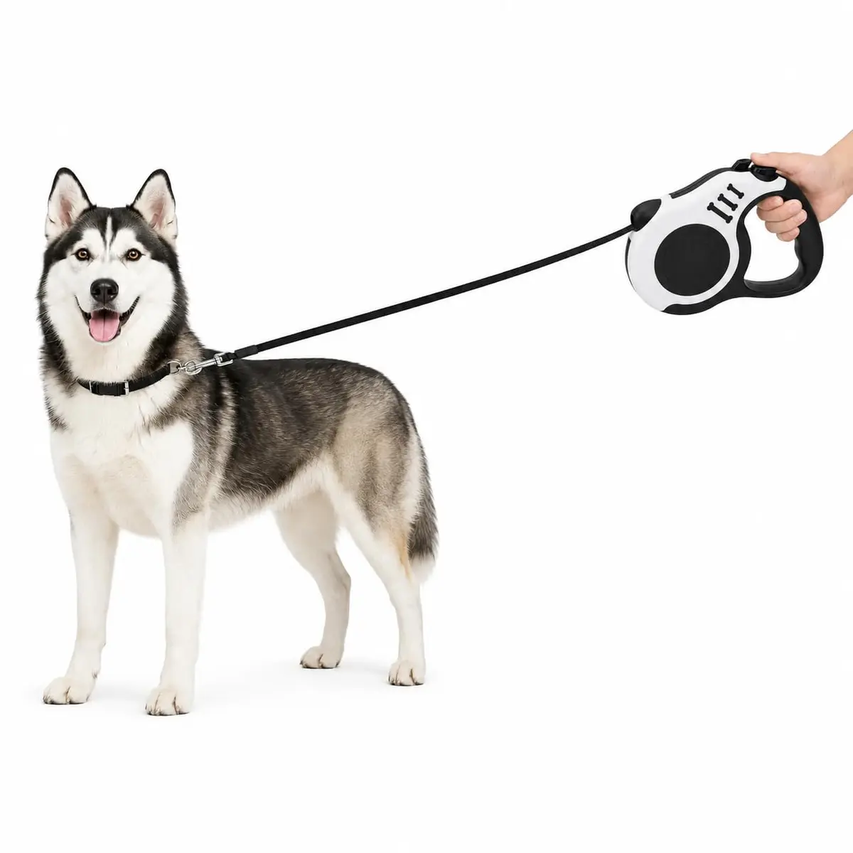 Guia Retrátil para Cães e Gatos 3 m Cinza com Trava de Segurança, Alça Ergonômica, Fita Resistente e Clipe Metálico para Passeios