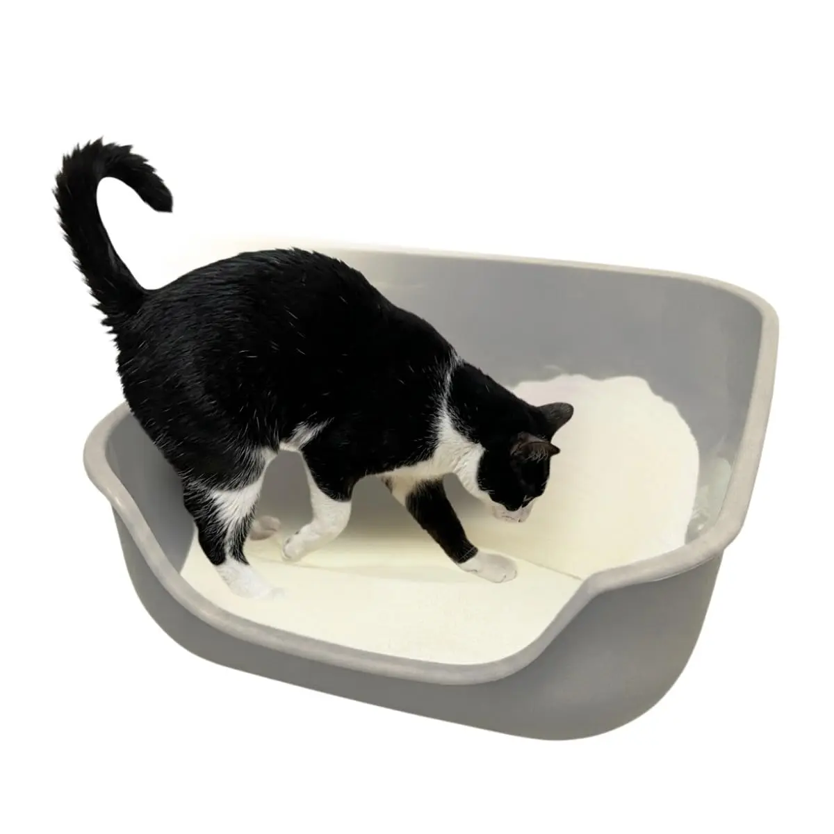 Pet Games Caixona De Areia Gelo - Bandeja Higiênica Para Gatos