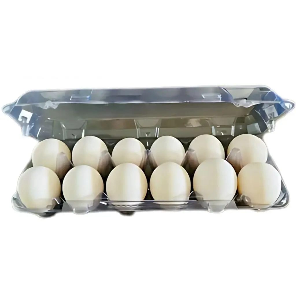 Embalagem Para 12 Ovos De Galinha Cartela Caixa P/Ovos(50 unidades)