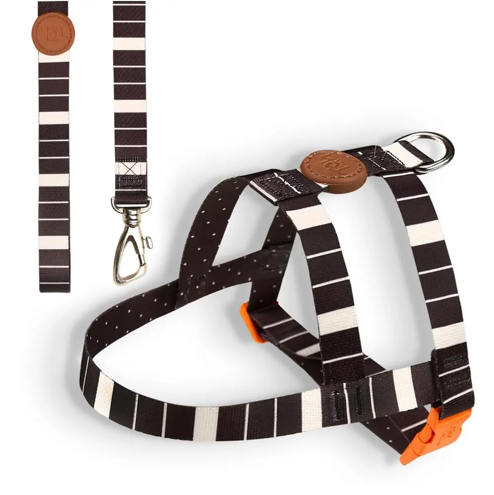 Toh Conjunto Peitoral Tradicional E Guia Eclipse G