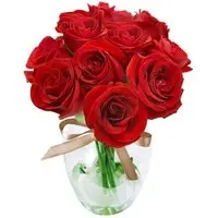 Surpresa de Rosas Vermelhas - 1