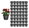 Kit 48 Vasos Plásticos para Mudas de Plantas - 1