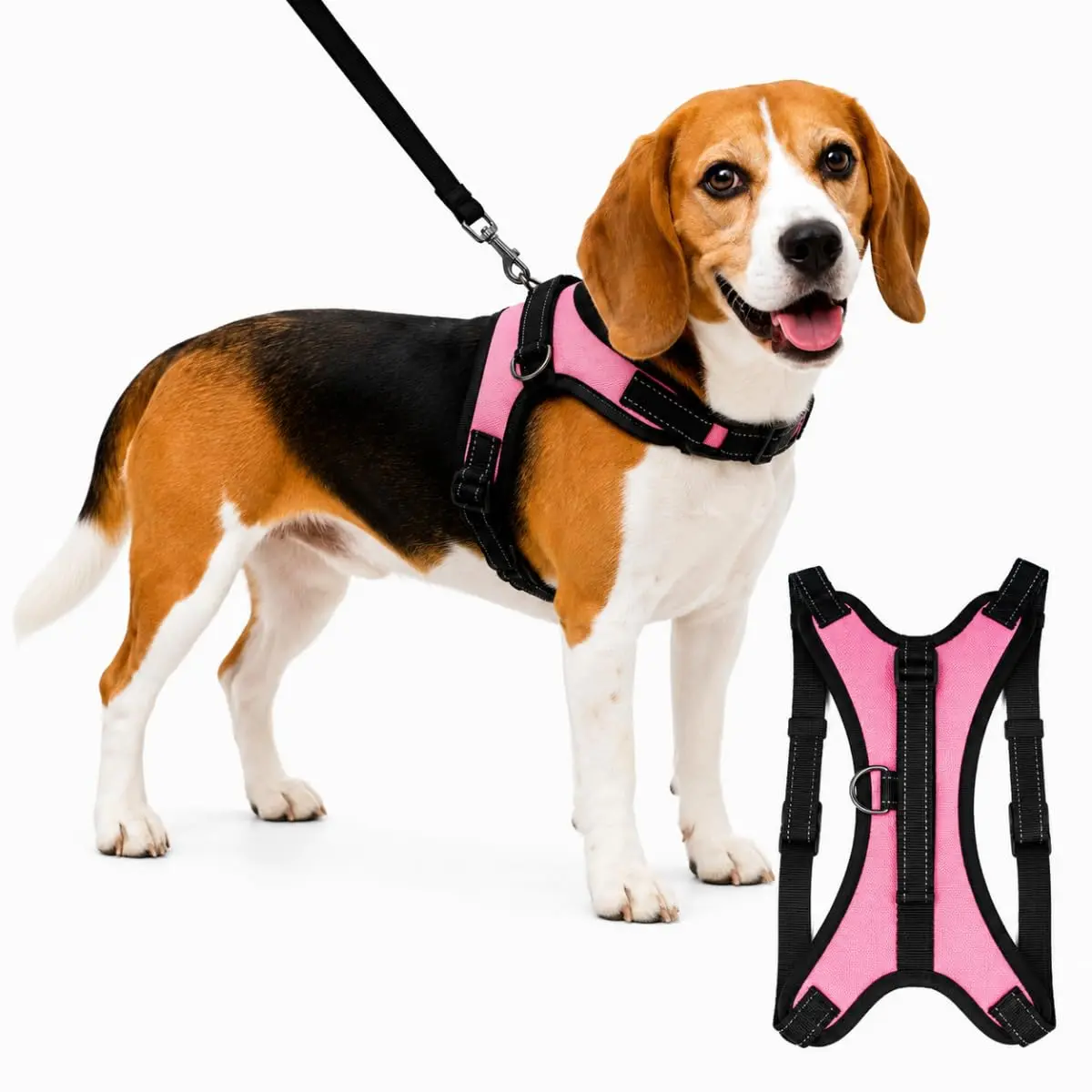 Coleira Peitoral M com Regulagem e Dupla Trava de Segurança para Cães e Gatos (ROSA) - 1